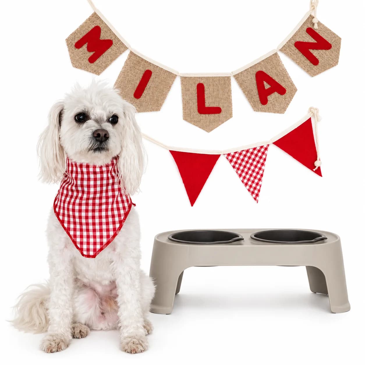 Kit Eurekka Pets rojo