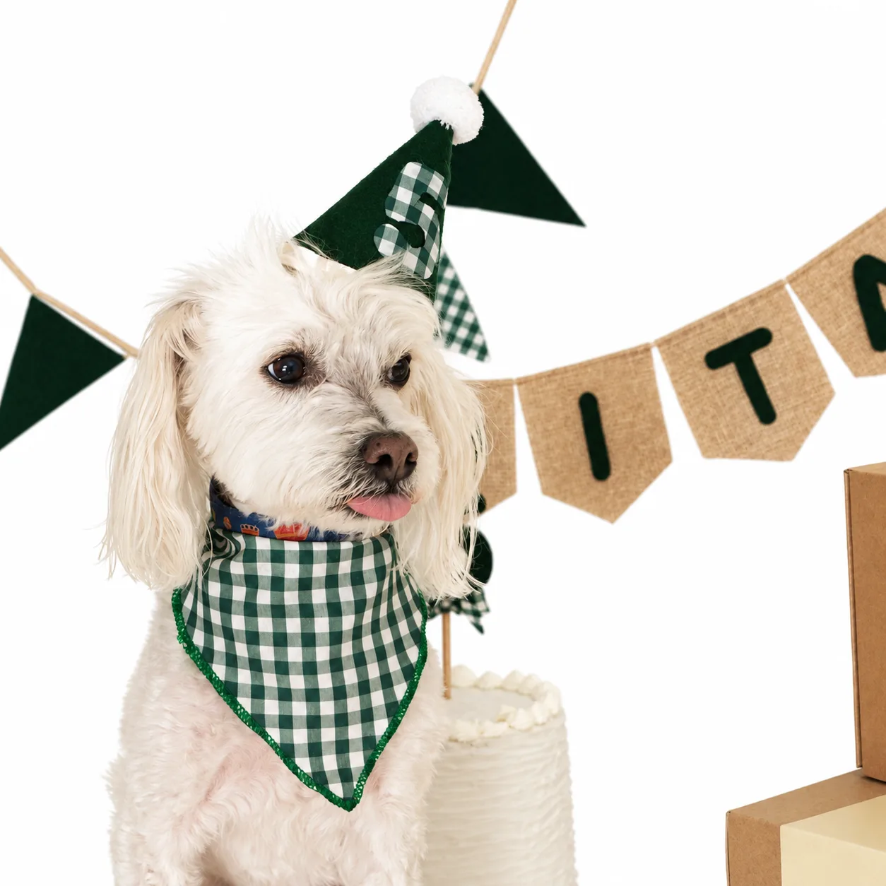 Kit Eurekka Pets verde