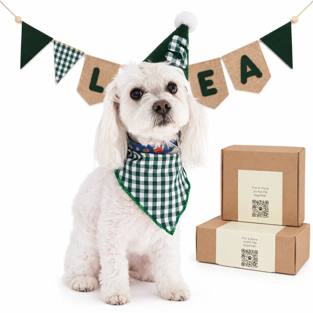Kit Eurekka Pets verde